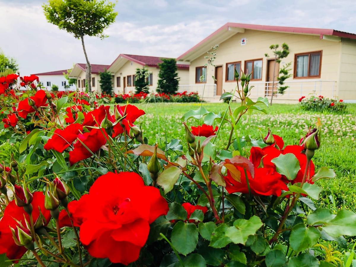 Rizom Tatil Koyu Hotell Samanli Exteriör bild